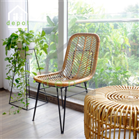 GHẾ MÂY XƯƠNG CÁ